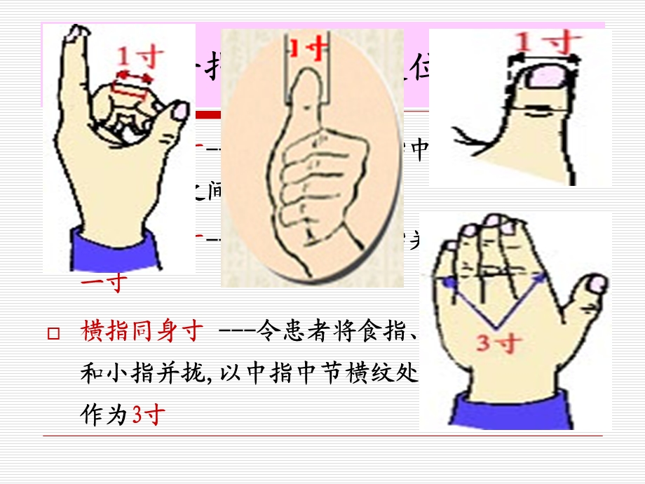 中医50常用穴位.ppt_第2页