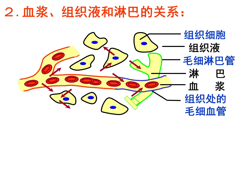 人教版高二生物必修三详细复习知识点课件.ppt_第2页