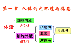 人教版高二生物必修三详细复习知识点课件.ppt