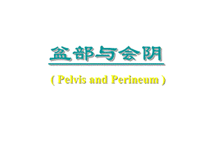 人体断面与影像解剖学盆部与会阴之一.ppt