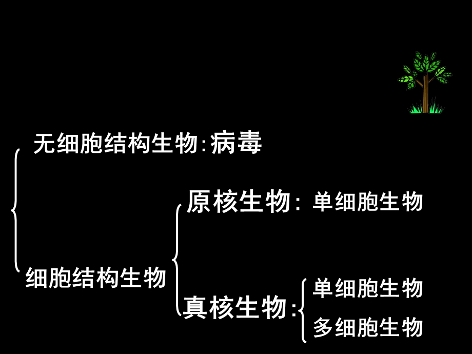 人教版高一生物必修一前两章知识点整理.ppt_第3页