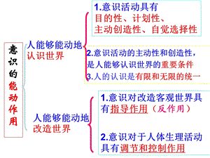 人的认识从何而来(上课用).ppt