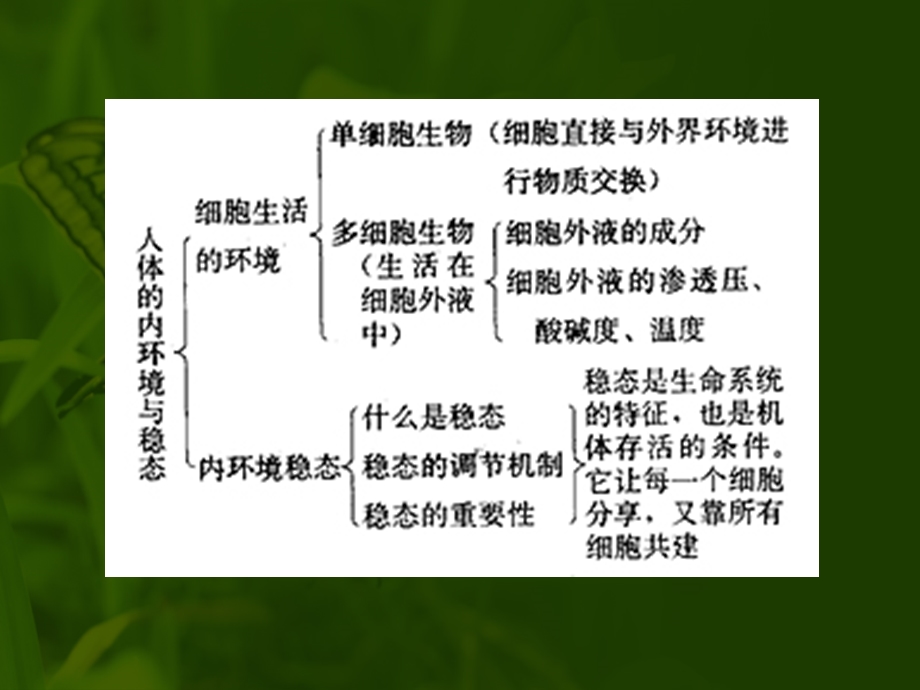 人体的内环境与稳态要点解析.ppt_第2页