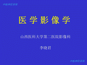 中枢神经系统课件第.ppt