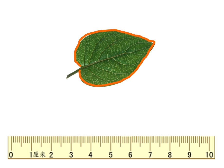 人教版三年级数学上册《认识周长》课件.ppt_第2页