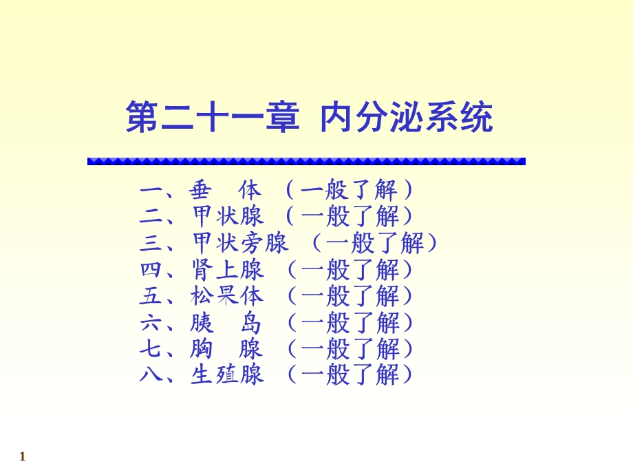 人体系统解剖教程24-内分泌系统.ppt_第1页