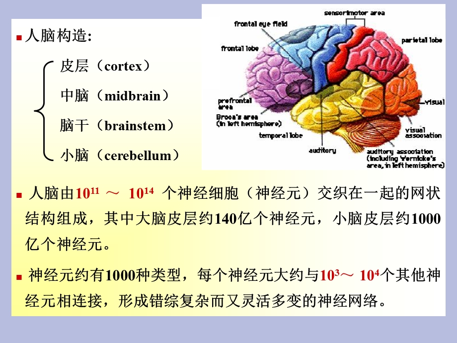 人工神经网络及其应用硕士.ppt_第3页