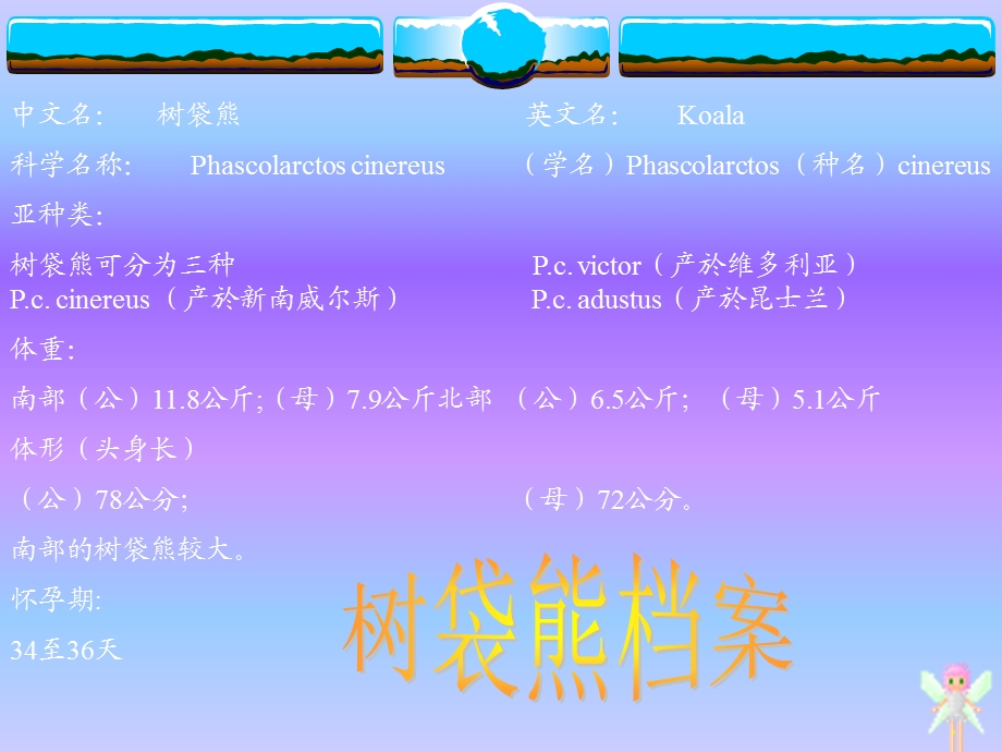 中文名树袋熊英文名Koala科学名称Phascola.ppt_第2页