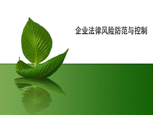 企业法律风险防范与控制.ppt