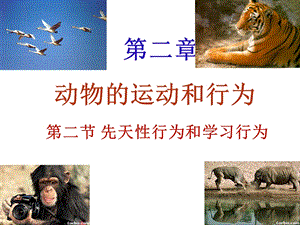 人教版八年级生物上-先天性行为和学习行为.ppt