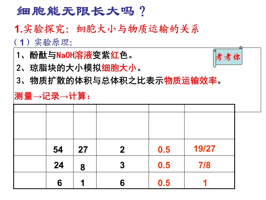 人教版生物必修一有丝分裂.ppt_第3页