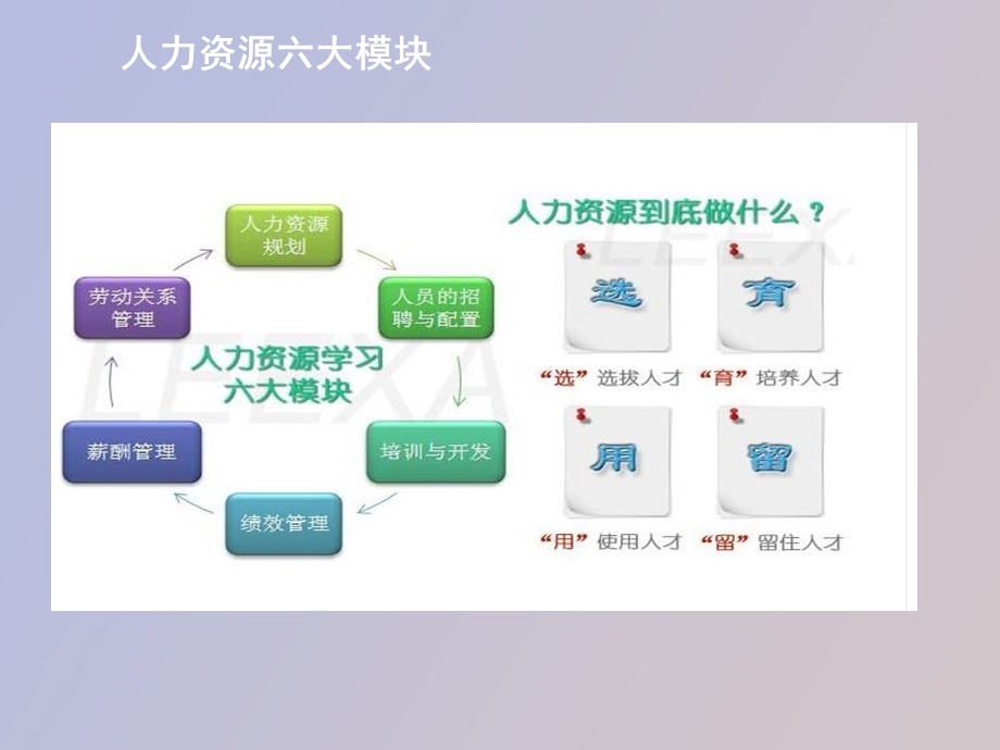 人事岗应知应会.ppt_第3页