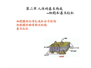 人体解剖课件-第二章人体的基本组织第一节细胞.ppt