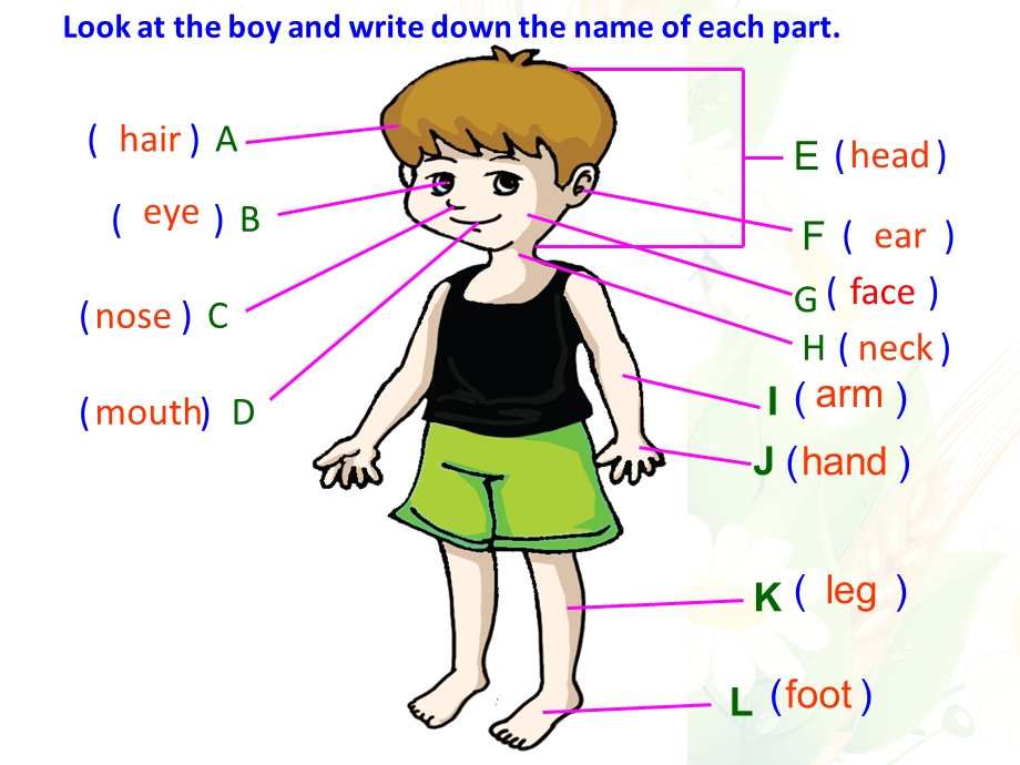 仁爱版七年级上册英语Unit2Topic1SectionB课件 1.ppt_第3页