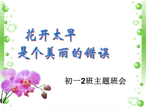 主题班会花开太早是个美丽的错误.ppt