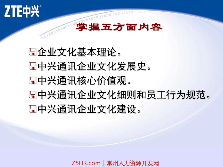 中兴通讯的企业文化(专业版).ppt_第2页