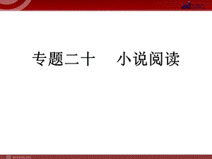 中考语文小说阅读专题复习PPT.ppt