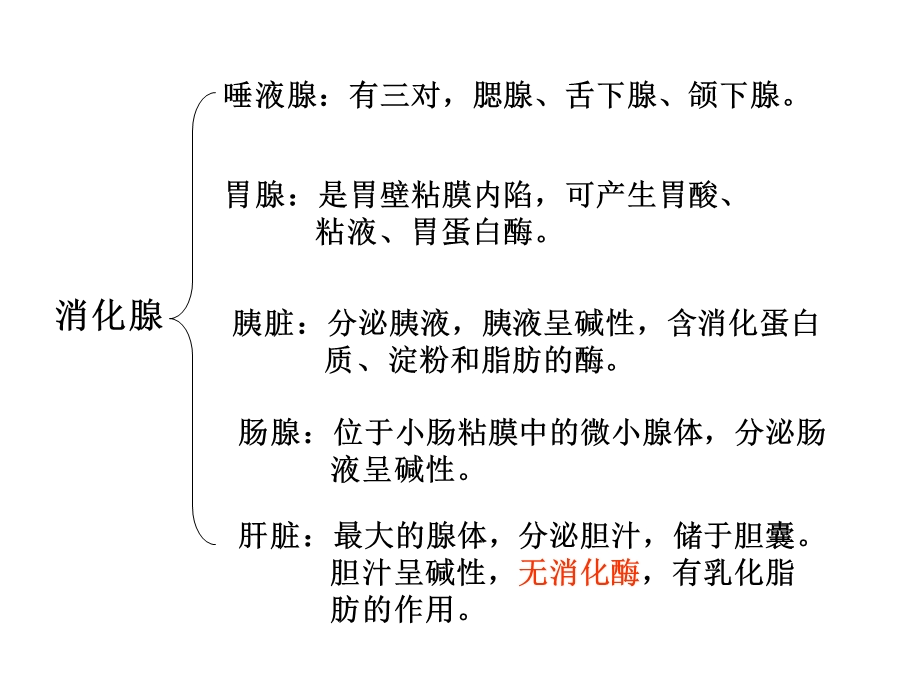 人体消化、循环、呼吸、泌尿系统.ppt_第3页