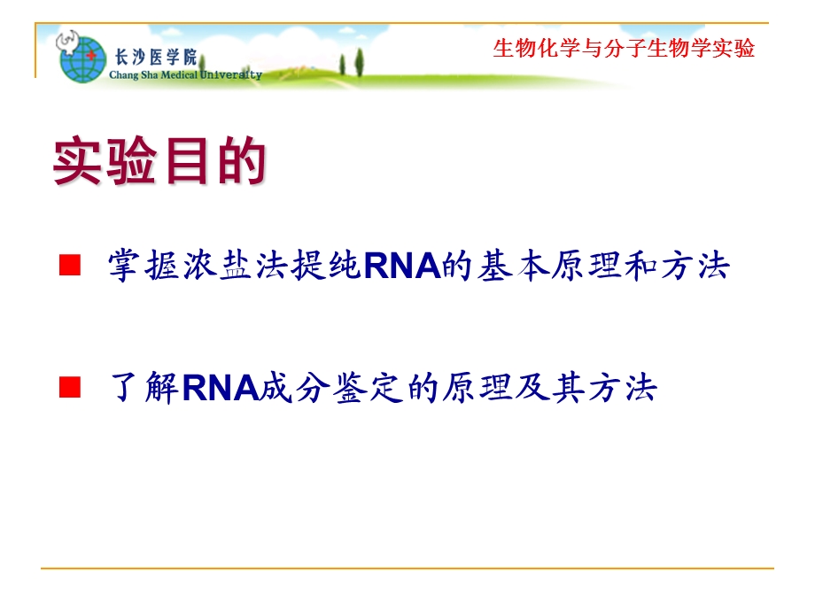 实验八酵母RNA的提取及成分鉴定浓盐法.ppt_第2页