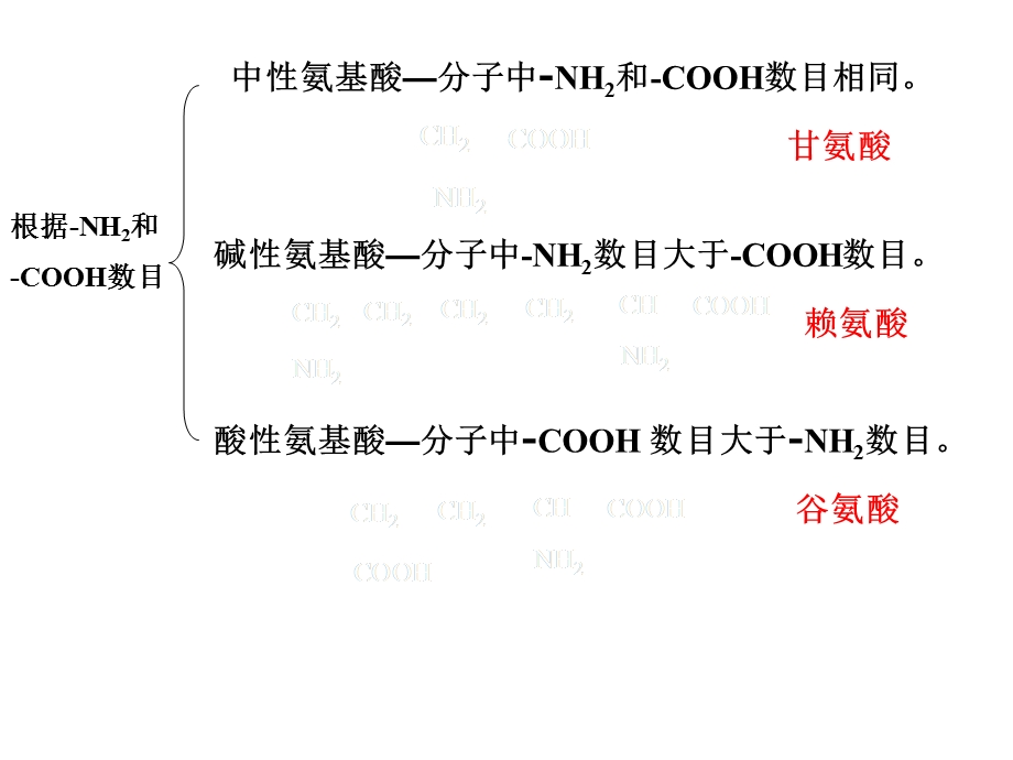 第二十章氨基酸蛋白质核酸.ppt_第3页