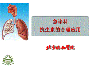 抗生素合理应用(全).ppt