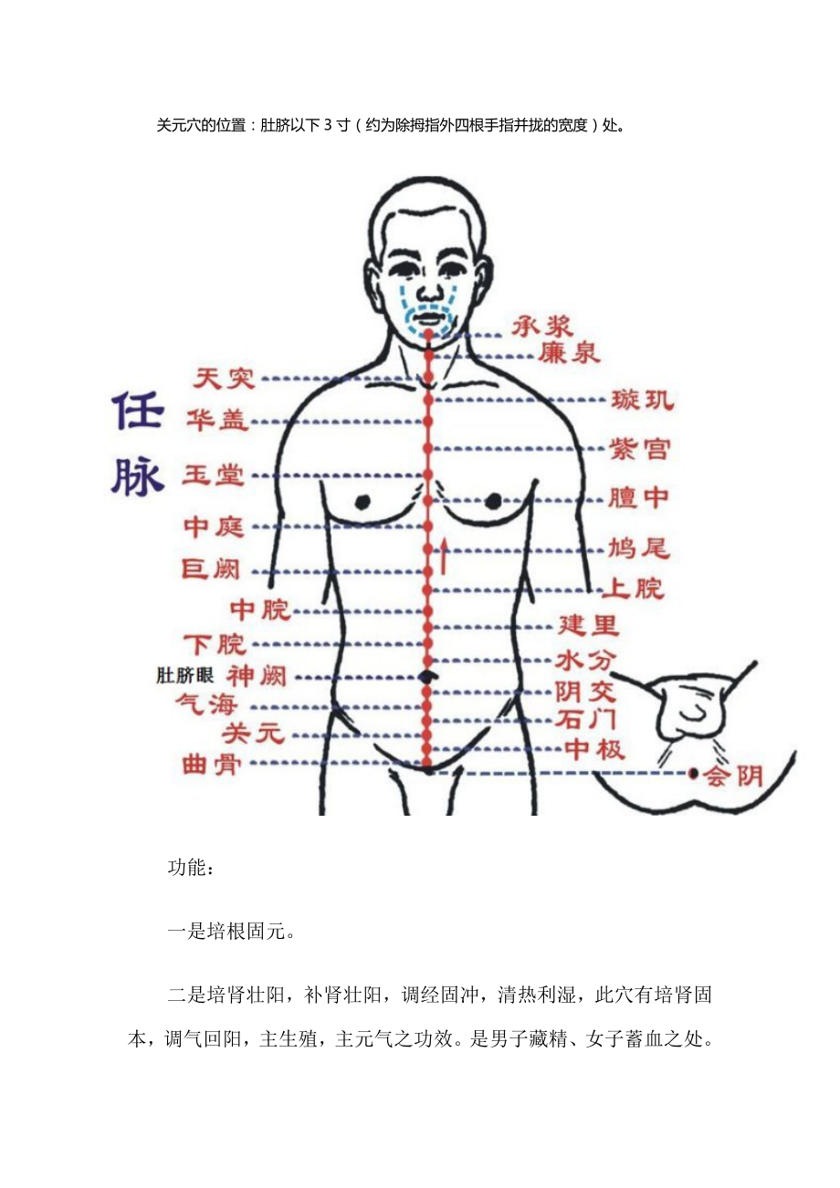 中医常用重要穴位及功能讲解.doc_第3页