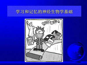 学习和记忆的神经生物学基础.ppt