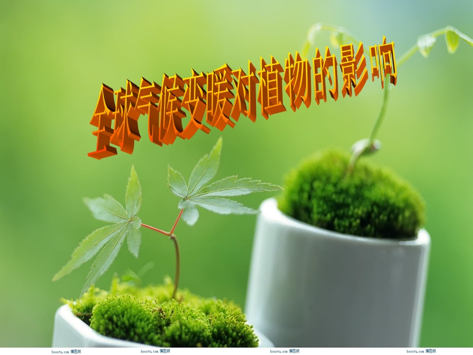 全球变暖对植物的影响.ppt_第1页