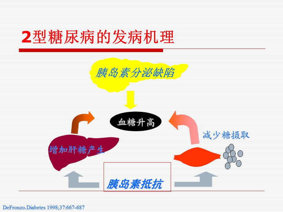 口服降糖药护理.ppt_第2页