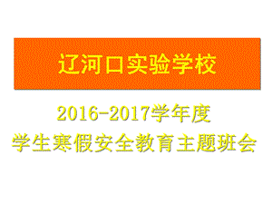 学生寒假安全教育.ppt