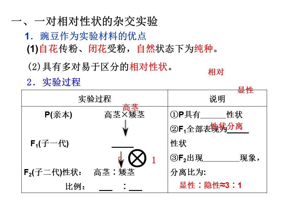 孟德尔实验一复习.ppt_第3页