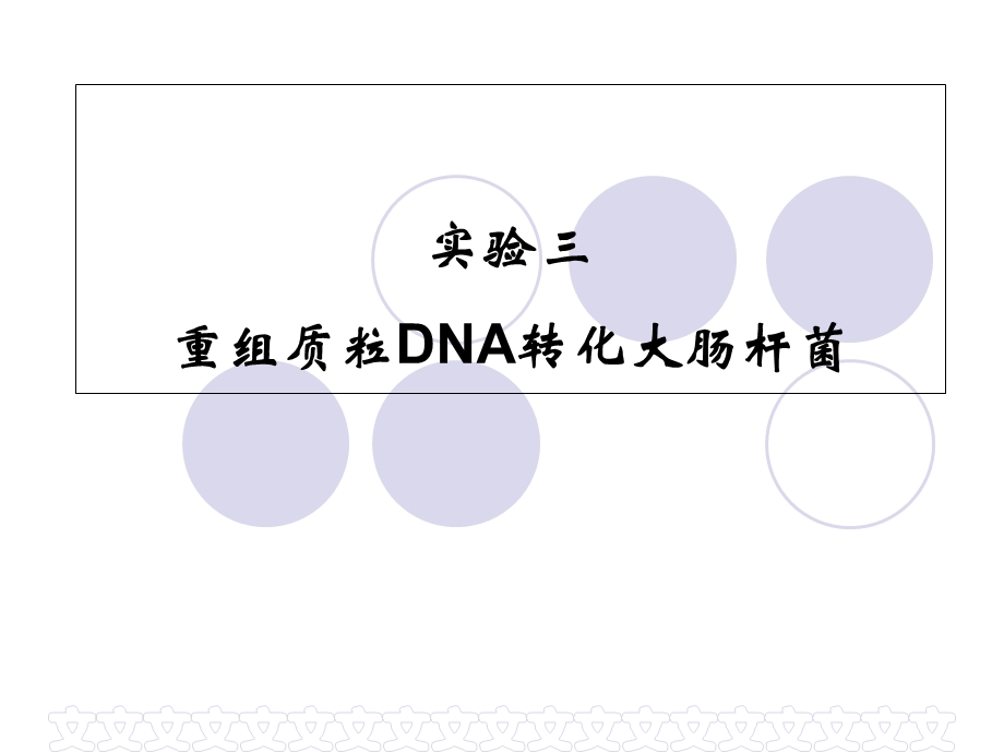 实验三重组质粒DNA转化大肠杆菌.ppt_第1页