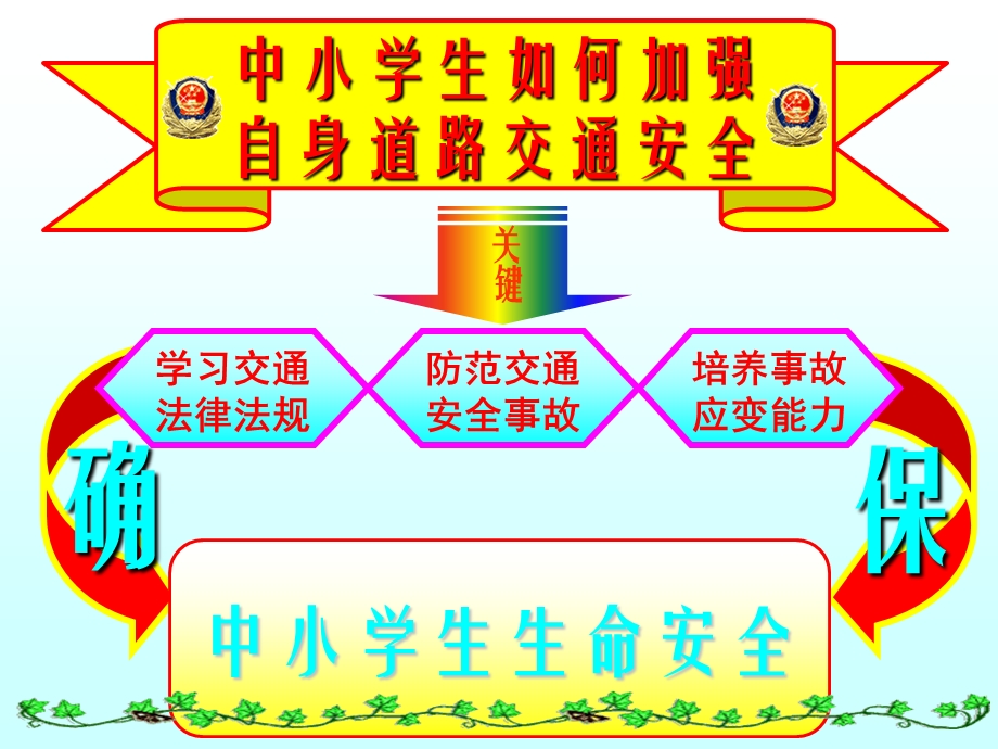 小学生交通安全宣传讲座.ppt_第3页