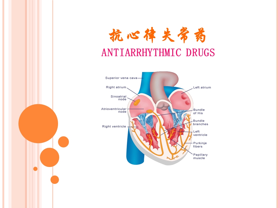 抗心律失常药(生理药理).ppt_第1页