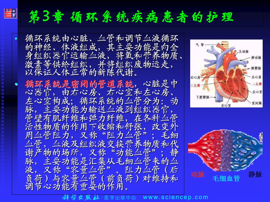 内科护理学-循环系统疾病患者的护理PPT课件.ppt_第2页