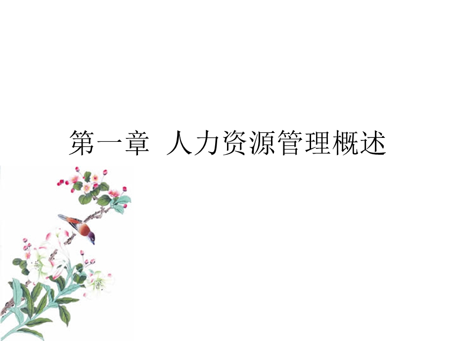 一章节人力资源管理概述.ppt_第1页