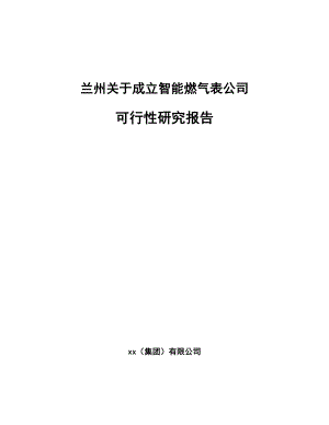 兰州关于成立智能燃气表公司可行性研究报告.docx