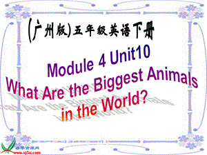 （广州版）五年级英语下册课件Module4Unit10(3).ppt