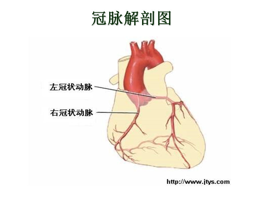 几种心脏病鉴别诊断.ppt_第3页