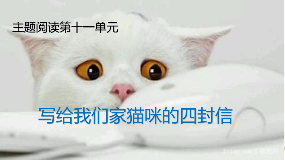 写给我们家猫咪的四封信.ppt_第2页