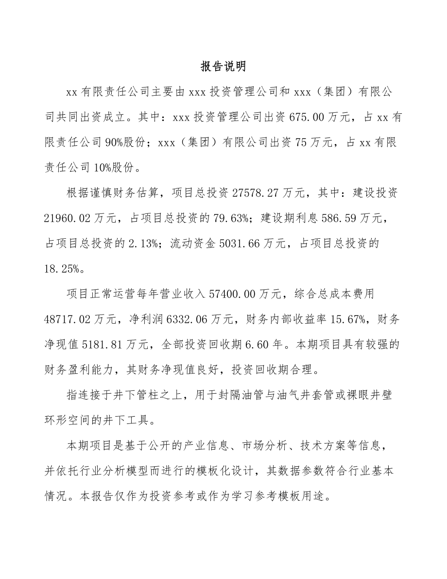 兰州关于成立封隔器公司可行性研究报告范文.docx_第2页