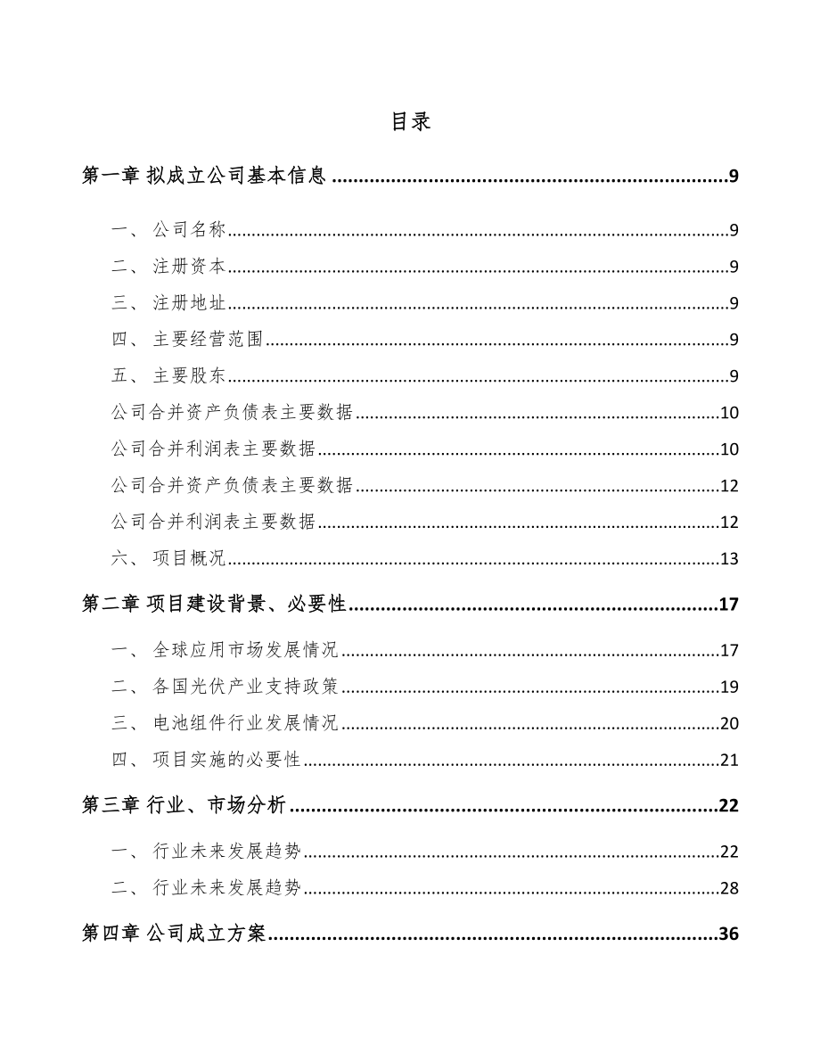 中山关于成立硅基光伏组件公司可行性报告.docx_第2页