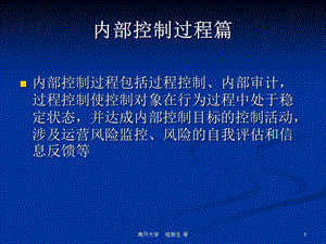 内部控制9过程控制.ppt