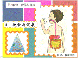 六年级上册科学第二单元3饮食与健康.ppt