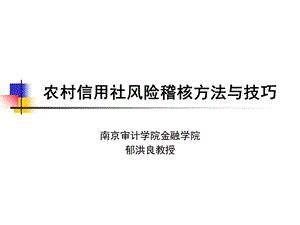 农村信用社风险审计方法和技巧.ppt