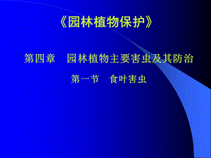 园林植物保护-主要害虫.ppt