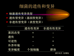 细菌的遗传和变异.ppt