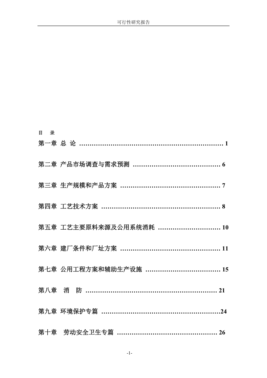 taMIPK甲基异丙基酮项目可行性研究报告2.doc_第1页