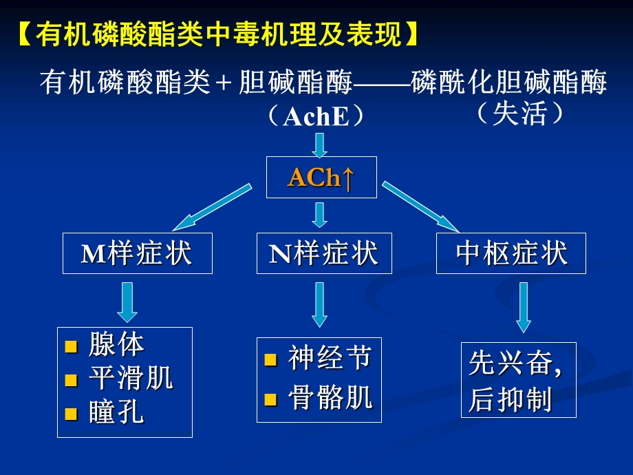 有机磷药物的中毒及解救.ppt_第3页