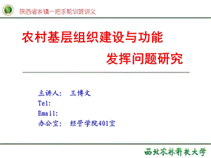 农村基层组织建设与功能发挥问题研究王博.ppt